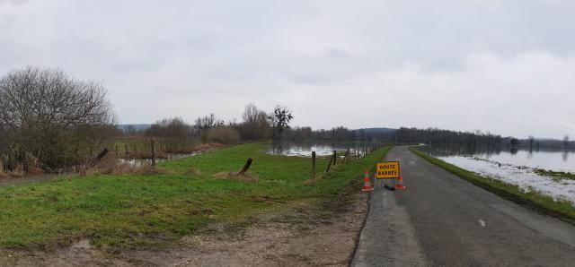 Champs inondés