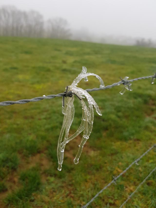 Givre sur un fil barbelé